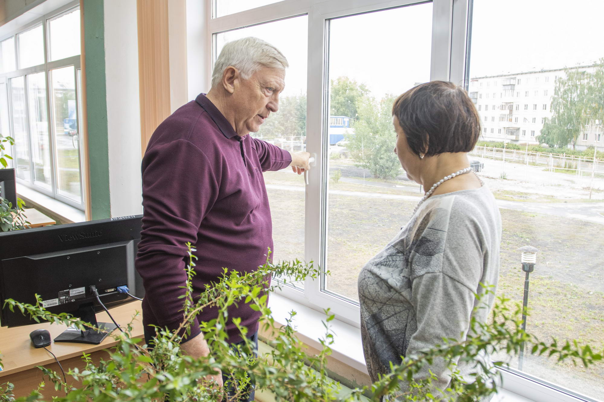 Новые окна в школе 1